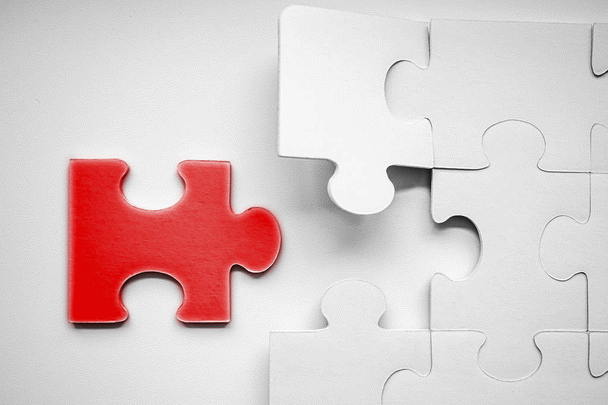 گربه DSH: نژاد دوست داشتنی و همه کاره